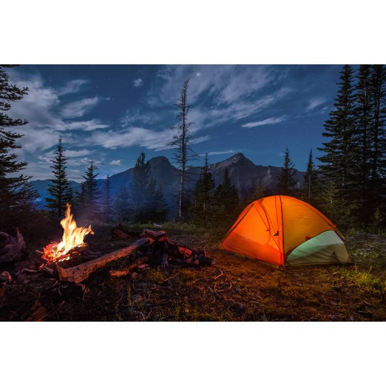 Low Price Camping Tent